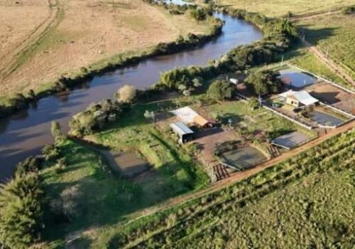 MP investiga ocupação irregular e danos ambientais no Rio Dourados