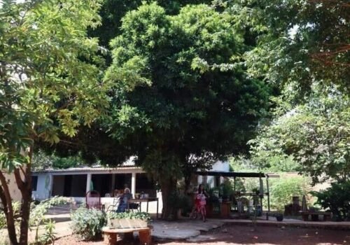 Calmo até demais, bairro tem fruta no pé e é o queridinho para provas do Detran