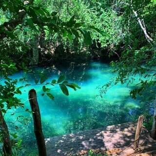 Antigo Cine Campo Grande e balneário têm datas de leilões prorrogadas Antigo Cine Campo Grande e balneário têm datas de leilões prorrogadas