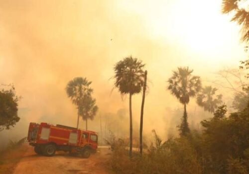 Fenômeno climático pode aumentar risco de incêndios no Pantanal neste ano