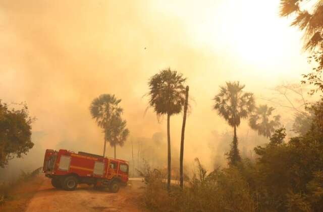 Fenômeno climático pode aumentar risco de incêndios no Pantanal neste ano
