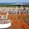 Petrobras retoma processo para concluir fábrica de fertilizantes em Três Lagoas