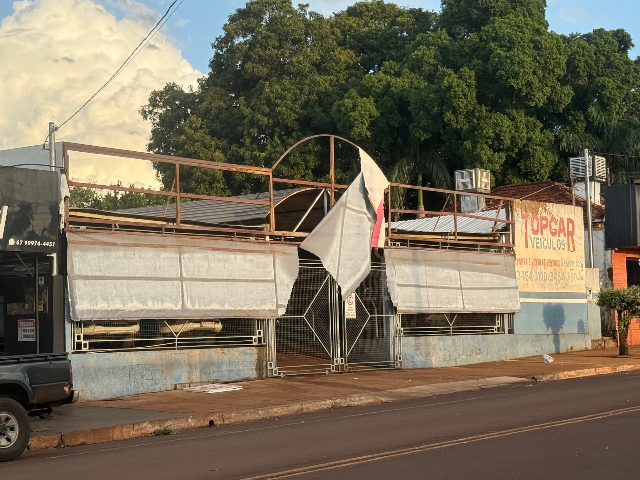 Temporal derruba árvores e destelha casas na tarde deste sábado