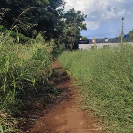 Pista no Lageado é tomada por matagal e lama, reclama dona de casa