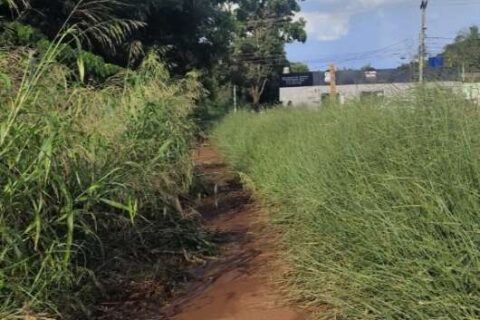 Pista no Lageado é tomada por matagal e lama, reclama dona de casa
