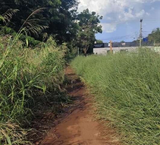 Pista no Lageado é tomada por matagal e lama, reclama dona de casa
