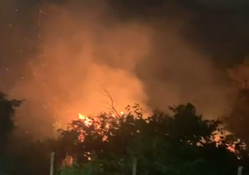 Fogos de artifício provocam incêndio em área de mata no Coopharádio