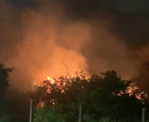 Fogos de artifício provocam incêndio em área de mata no Coopharádio