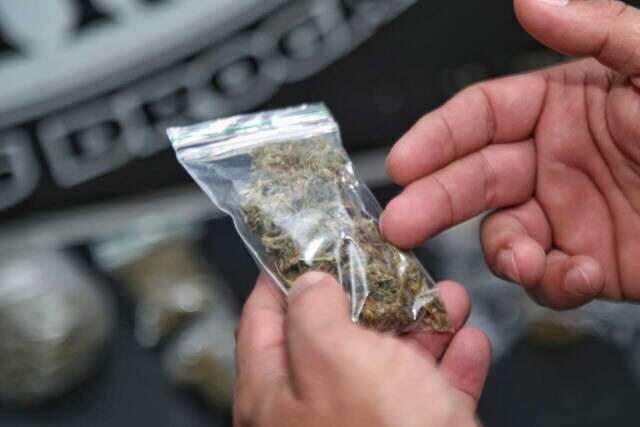 STJ acolhe recurso do MPMS e limita descriminalização do porte de maconha