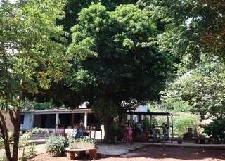 Calmo até demais, bairro tem fruta no pé e é o queridinho para provas do Detran