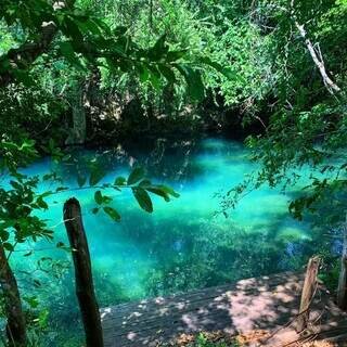 Sesc leiloa antigo Cine Campo Grande e balneário por quase R$ 20 milhões Sesc leiloa antigo Cine Campo Grande e balneário por quase R$ 20 milhões