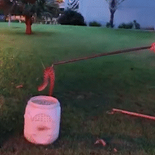 Cascavel aparece no campus da UEMS e mobiliza resgate