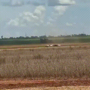 Avião descarrega droga na fronteira, ignora interceptação aérea e foge