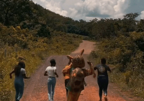 “Tatu de ouro” e flagra de agressão lideram os mais vistos da semana