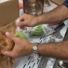 Bonecas com remédio emagrecedor é flagrante de esquema paralelo milionário