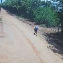 Idoso desaparece e mobiliza buscas em área de mata em São Gabriel do Oeste