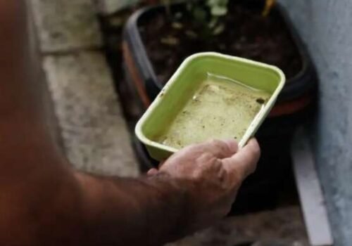 Carnaval acende alerta para prevenção da dengue em MS