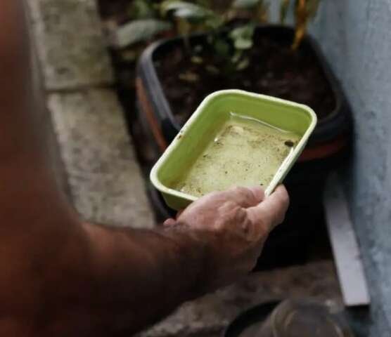 Carnaval acende alerta para prevenção da dengue em MS