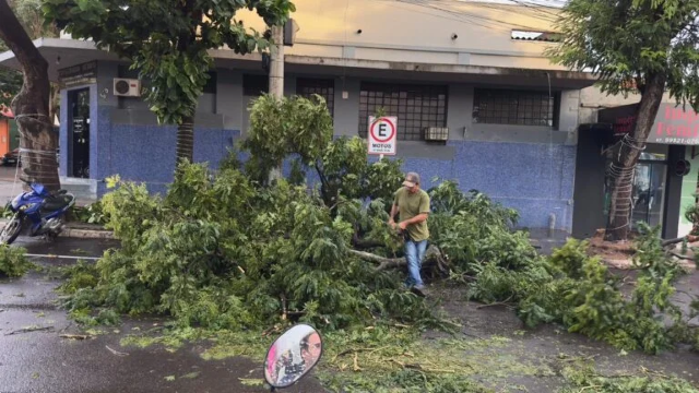 Árvore cai sobre veículo durante temporal de 40 minutos no interior