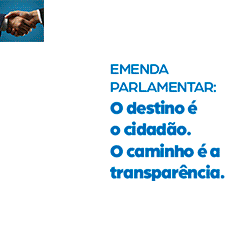 BnWeb Emenda TCE 250x250px