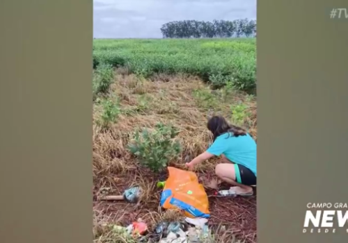 Cachorro espancado e abandonado em saco é submetido à eutanásia