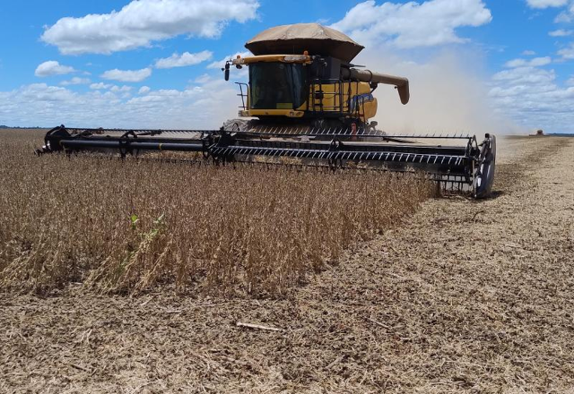 Colheita da soja em MS chega a 14,9% e mantém avanço desigual