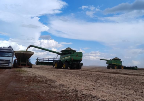 MS registra atraso de 9,3 pontos percentuais na colheita da soja