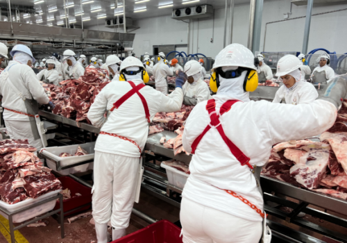 Exportações do Brasil aos EUA caem 25,5% em janeiro após tarifaço