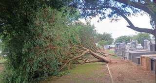 Após tempestade de poeira e vendaval, cidades começam o dia com limpeza 