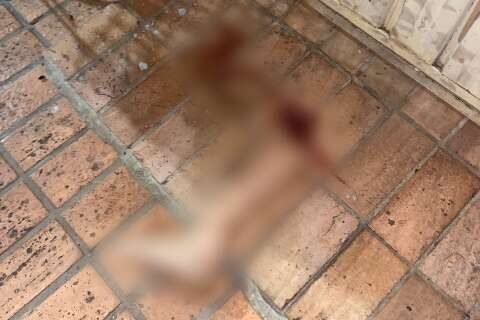 Perna de mulher atropelada é encontrada a 50 metros do acidente