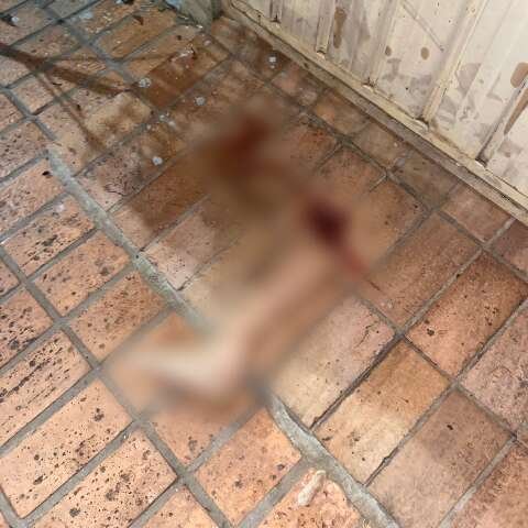 Perna de mulher atropelada é encontrada a 50 metros do acidente