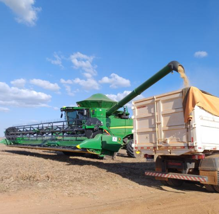 Crédito rural em MS cai 46% e produtor prioriza custeio da lavoura