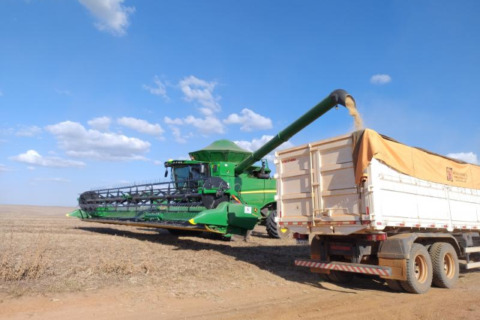 Crédito rural em MS cai 46% e produtor prioriza custeio da lavoura