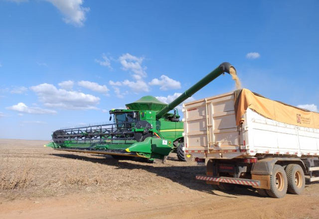 Crédito rural em MS cai 46% e produtor prioriza custeio da lavoura