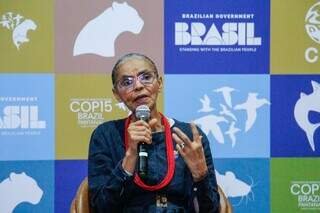 Ministra alerta para risco de desaparecimento do Pantanal até o fim do século Ministra alerta para risco de desaparecimento do Pantanal até o fim do século