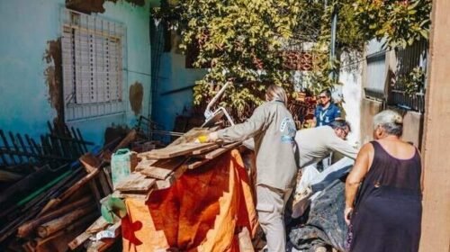 Prefeitura cria comitê municipal para combater dengue, zika e chikungunya