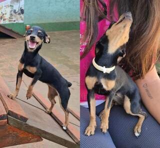 Dona Moela tem pata calcificada, pula de dor e precisa de ajuda