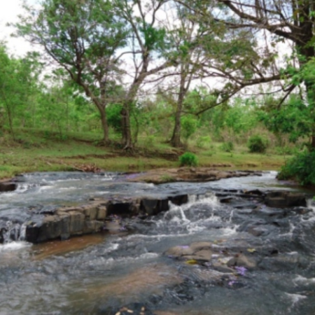 Cadáver em decomposição é encontrado no Córrego Ceroula