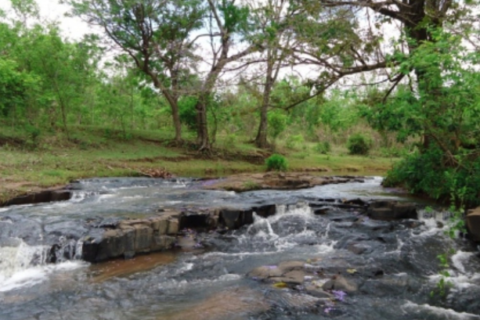 Cadáver em decomposição é encontrado no Córrego Ceroula