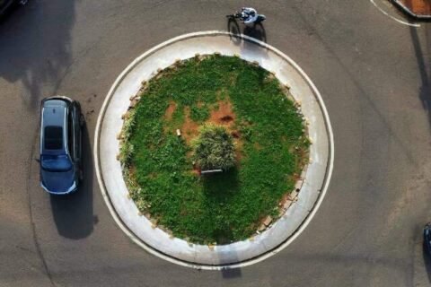 Nova política quer corrigir mapa desigual de árvores nas cidades