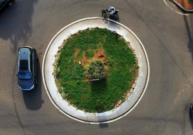 Nova política quer corrigir mapa desigual de árvores nas cidades