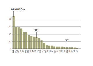 MS está entre maiores emissores de CO₂ e pecuária lidera, aponta relatório