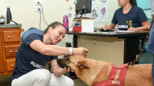 Consultório móvel leva atendimento a pets do Jardim Noroeste