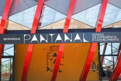 De tubarão a onça, 50 projetos são selecionados para apresentação na COP15