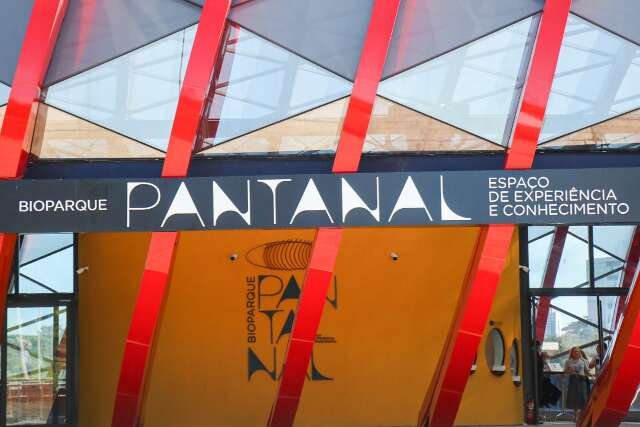 De tubarão a onça, 50 projetos são selecionados para apresentação na COP15