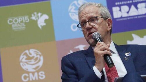 COP15 vai revisar espécies ameaçadas e propor novas ações internacionais