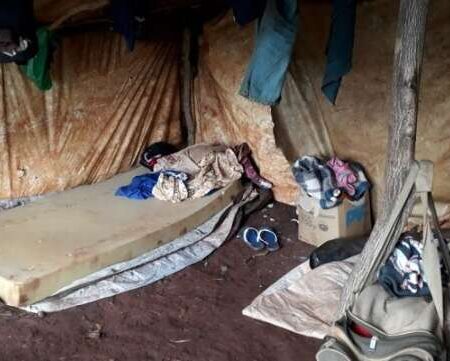 Encarregado de fazenda pega 6 anos de prisão por exploração de 22 indígenas