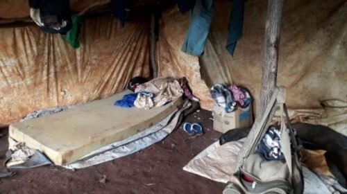 Encarregado de fazenda pega 6 anos de prisão por exploração de 22 indígenas