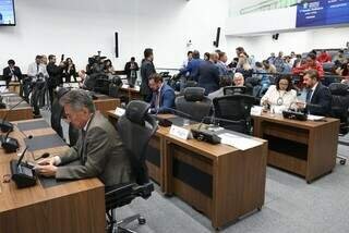 Proposta para sepultamento conjunto de animais e humanos tem 47% de rejeição