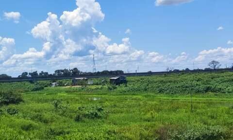Plantas aquáticas fecham canal no Pantanal e afetam ribeirinhos